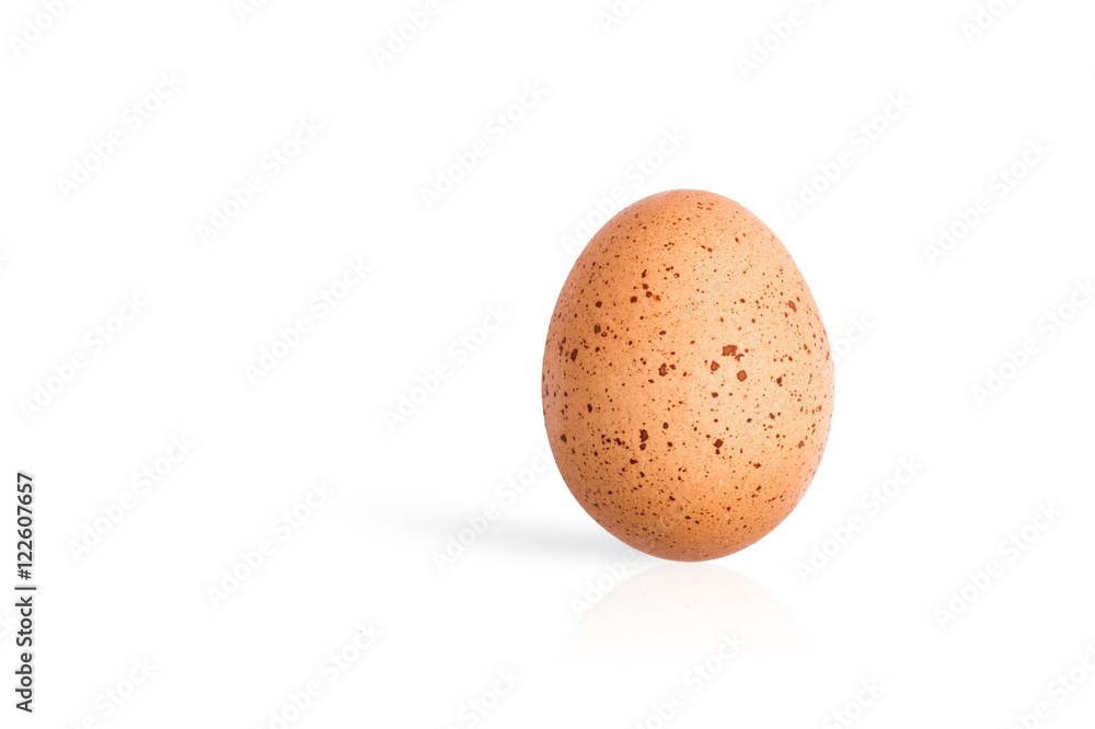 Single egg isolated on white background Single egg isolated on white background