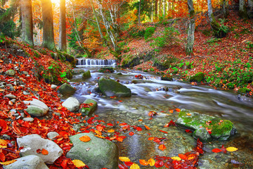 Wandcirkels Herfst Bergrivier met stroomversnellingen in herfst  © pilat666