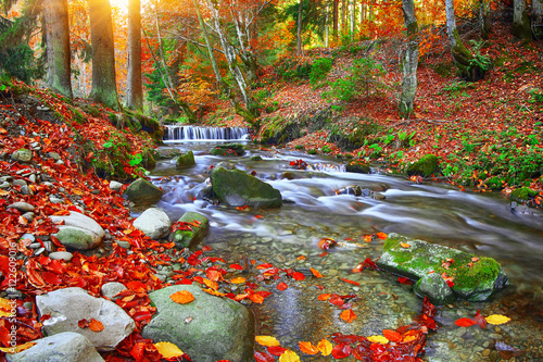 Fototapeta Naklejka Na Ścianę i Meble -  Mountain river with rapids and waterfalls at autumn time time
