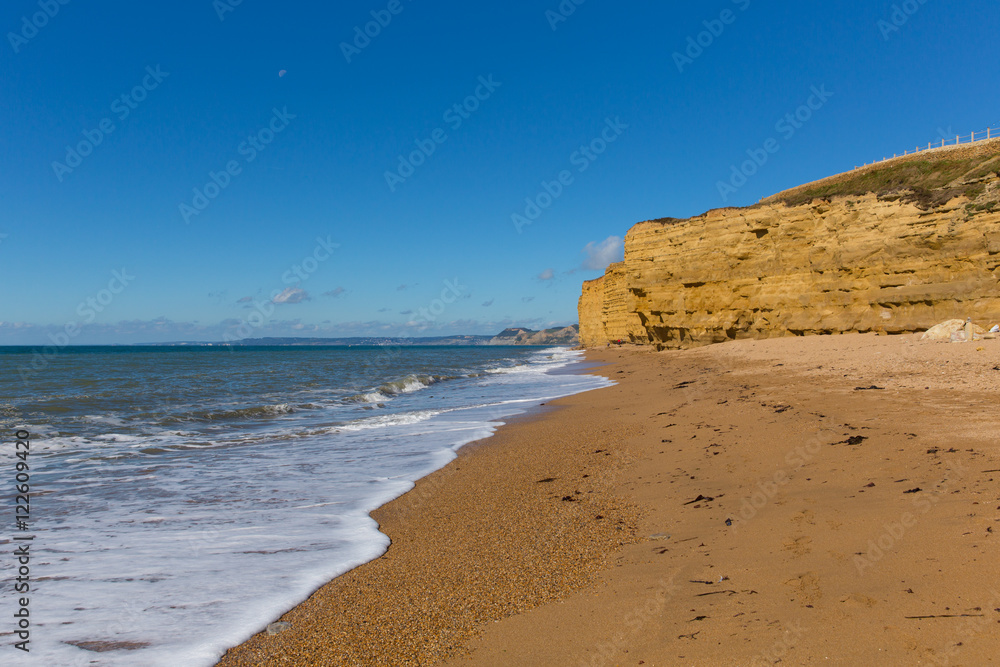 Burton Bradstock beach Dorset England UK Jurassic coast with sandstone cliffs and white waves 