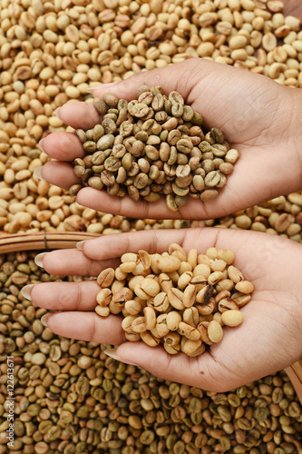 Close up of coffee beans on hand