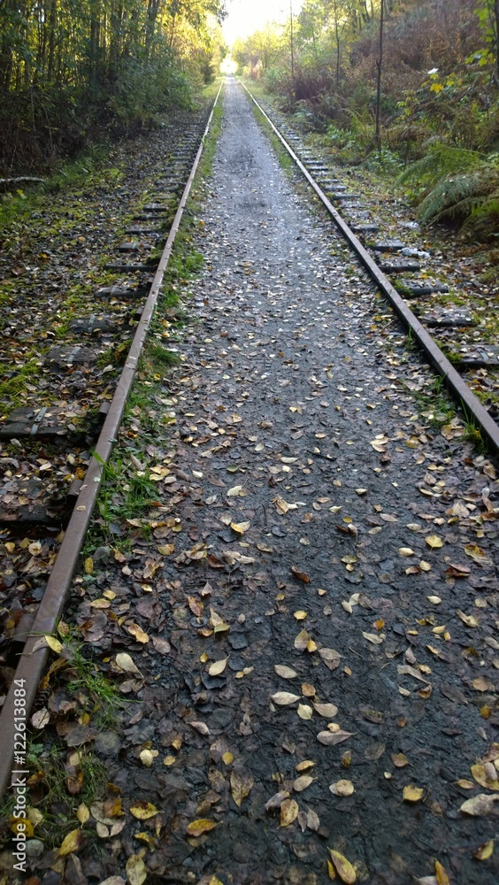 Obraz premium Railway Track