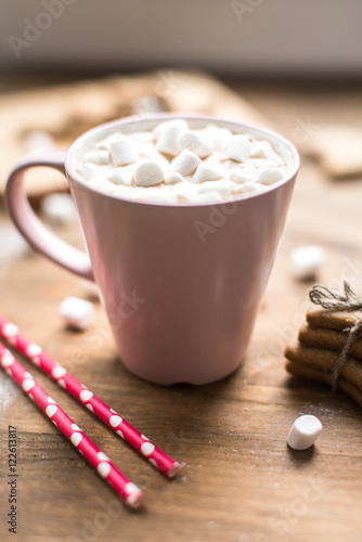 delicious breakfast cocoa with marshmallows and ginger biscuits