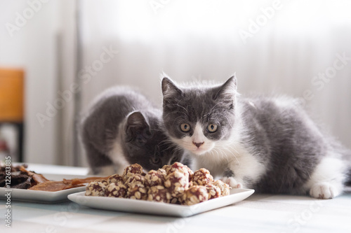 Kitten and food, taken indoors