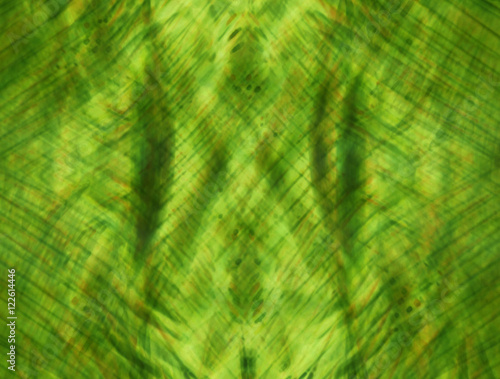 Artistic green coloured background 