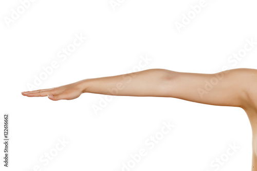 whole woman hand with the palm down on a white background