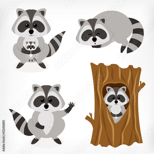 Raccoon set with standing raccoon, raccoon with baby, sleeping raccoon and raccoon inside tree. Vector cartoon illustration.