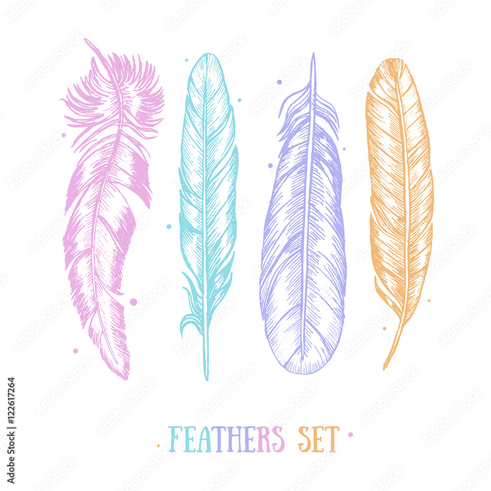 Feathers Set Hand Draw Sketch Card . Vector Feathers Set Hand Draw Sketch Card . Vector