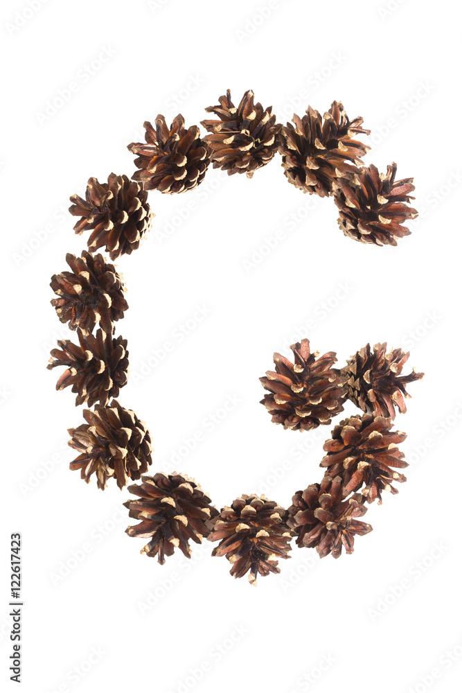 G letter made of pine cone G letter made of pine cone
