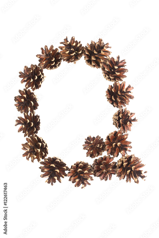 Q letter made of pine cone Q letter made of pine cone