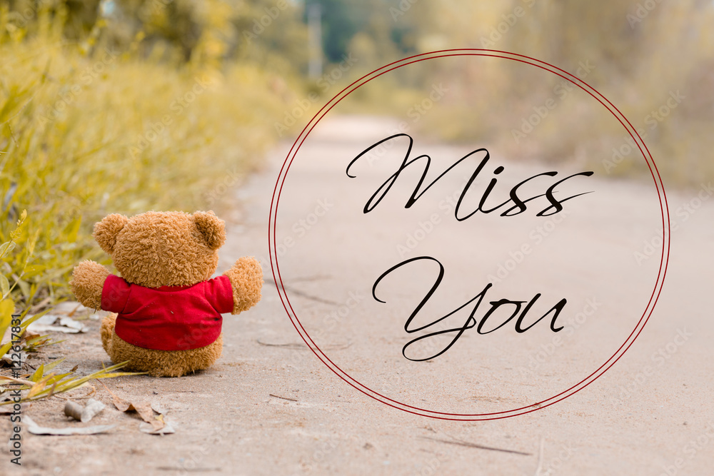 Miss you teddy bear sale
