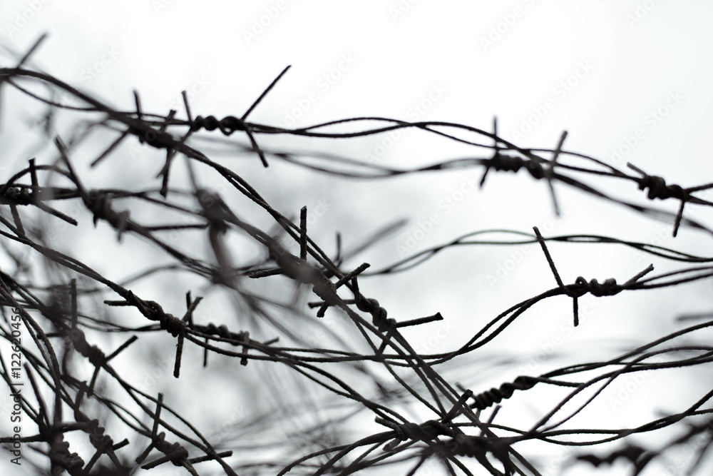 Fencing. Fence with barbed wire. Let. Jail. Thorns. Block. A prisoner.  under tension. Holocaust. Concentration camp. Prisoners. Depressive  background. Stock Photo | Adobe Stock