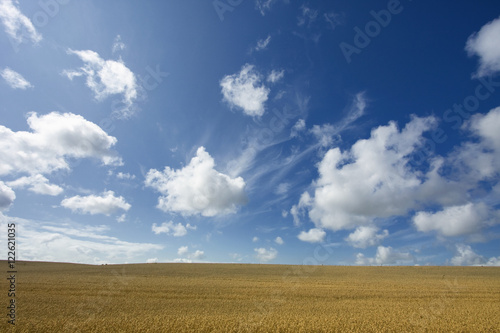 Nuvole sopra un campo di grano