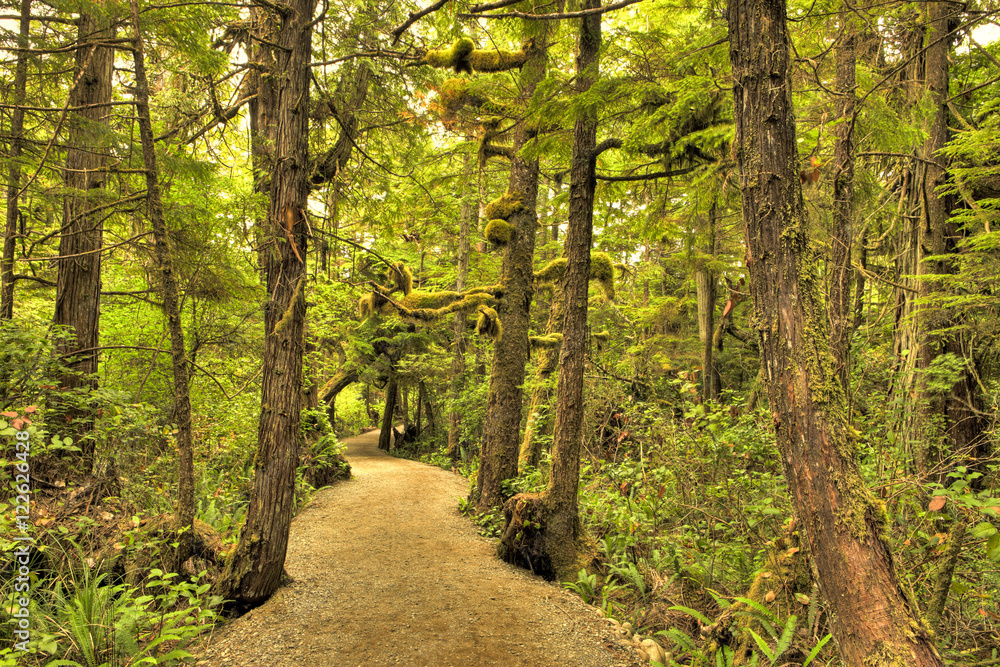 Wild Pacific Trail, Vancouver Island, British Columbia, Canada Wild Pacific Trail, Vancouver Island, British Columbia, Canada