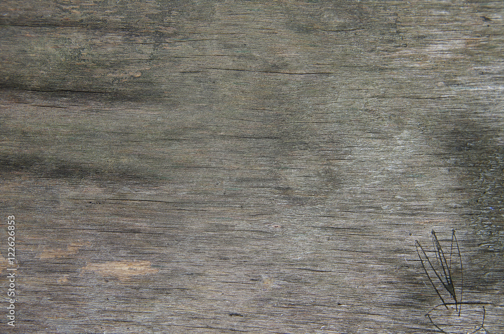 Fototapeta premium stary tekstura drewna na tle