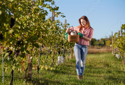 Beautiful young blonde woman walking outdoors in vineyard