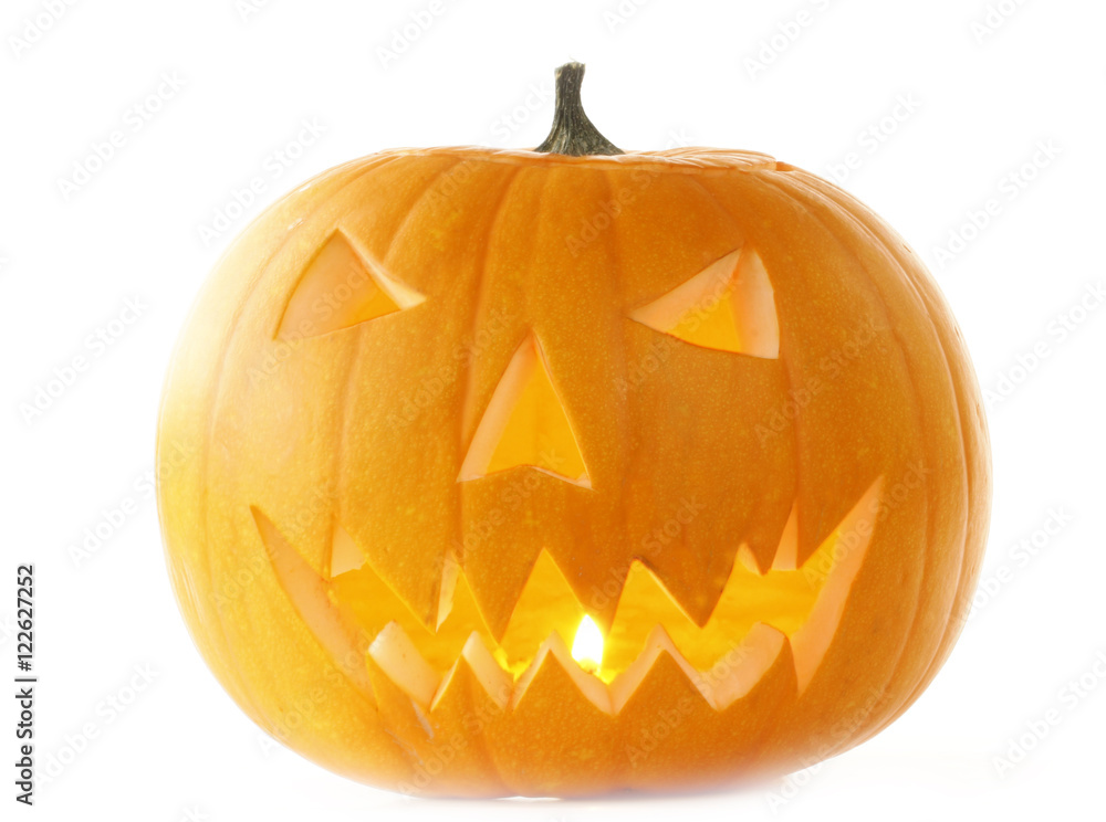 halloween pupmkin isolated halloween pupmkin isolated