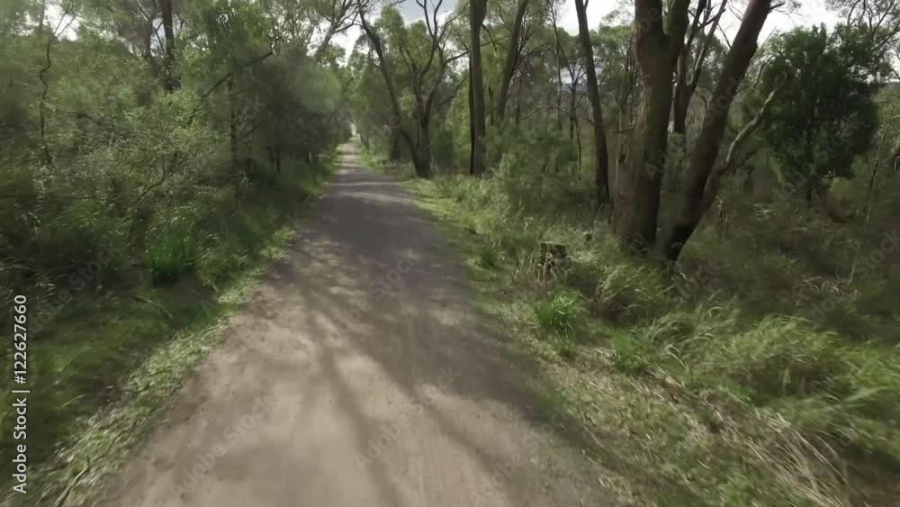 Slow forward flight above gravel road in Eucalyptus forest Slow forward flight above gravel road in Eucalyptus forest