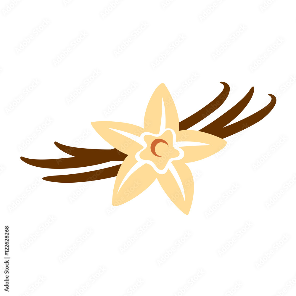 Vanilla flower with pods color silhouette Vanilla flower with pods color silhouette