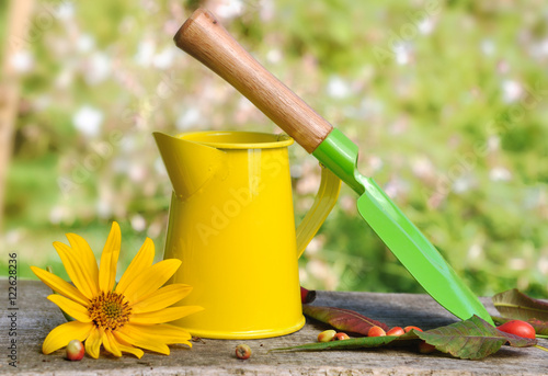 outil, récipient, fleur et feuilles sur planche dans jardin