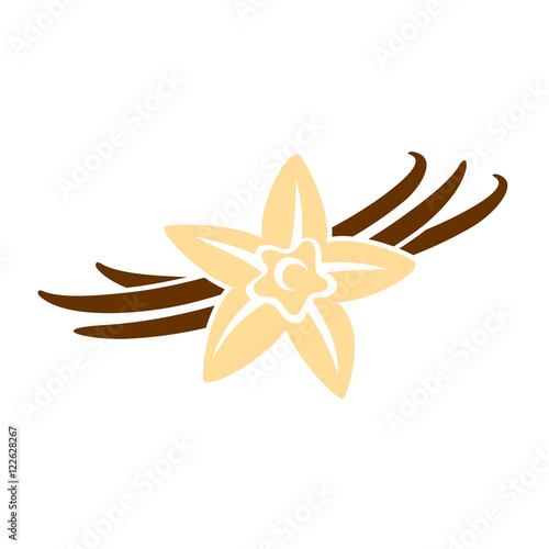 Vanilla flower with pods color silhouette