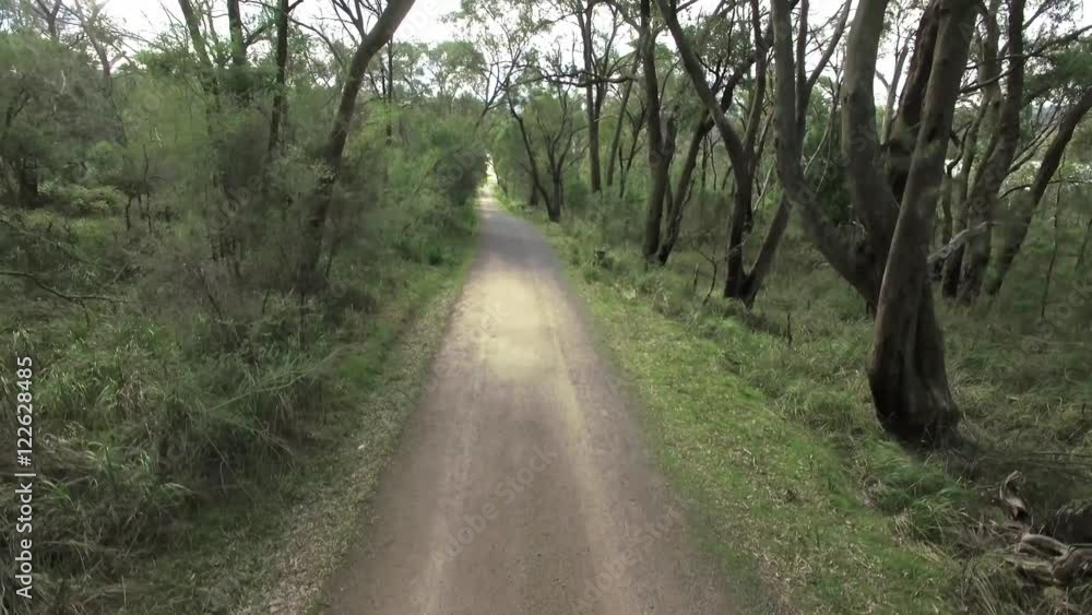 Slow rise above gravel road in eucalyptus forest Slow rise above gravel road in eucalyptus forest