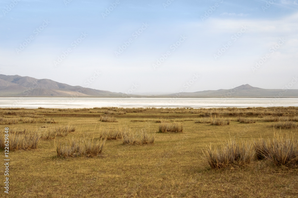 surface of the salt lake, salt marsh. north of Mongolia. surface of the salt lake, salt marsh. north of Mongolia.