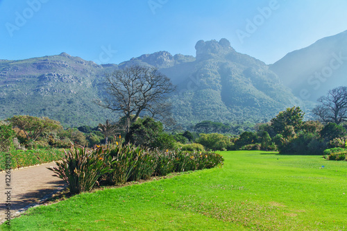 Kirstenbosch botanical gardens, Cape Town, South Africa 