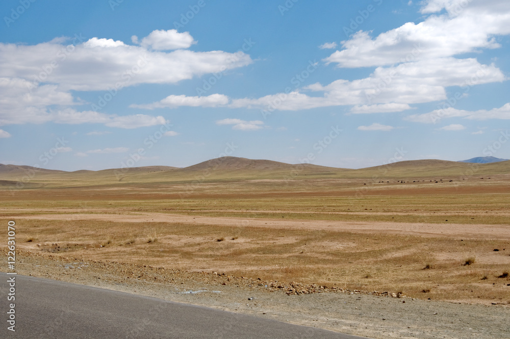 blue sky over the vast Mongolian steppes blue sky over the vast Mongolian steppes