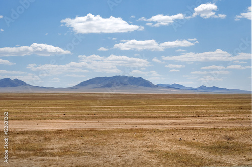 blue sky over the vast Mongolian steppes
