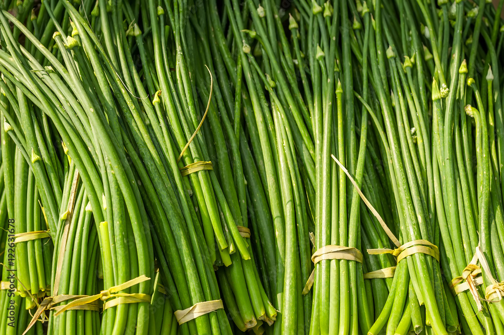 Fototapeta premium Organic garlic sprouts for sale at outdoor asian marketplace. Food background