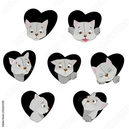 Seven cute feline muzzles in cartoon style