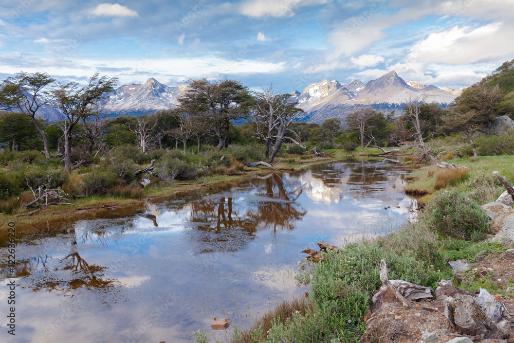 wilderness in the  Tierra del fuego National Park Patagonia Argentina at sunset. Ushuaia