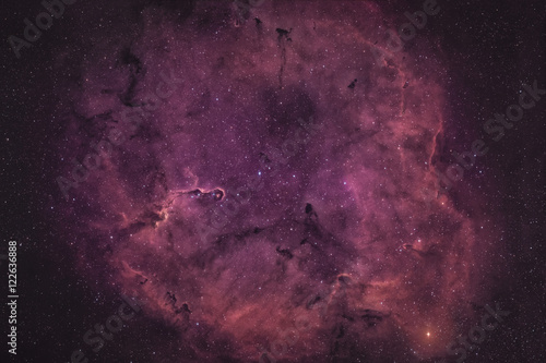 Fototapeta Naklejka Na Ścianę i Meble -  Elefantenrüsselnebel / Elephant's Trunk nebula