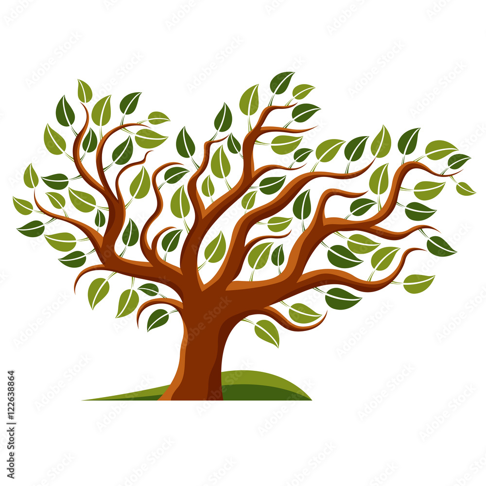 Fototapeta premium Vector illustration of stylized branchy tree isolated on white b