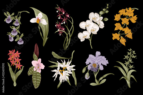 Exotic orchid set. Botanical vector vintage illustration. Design elements. Colorful.