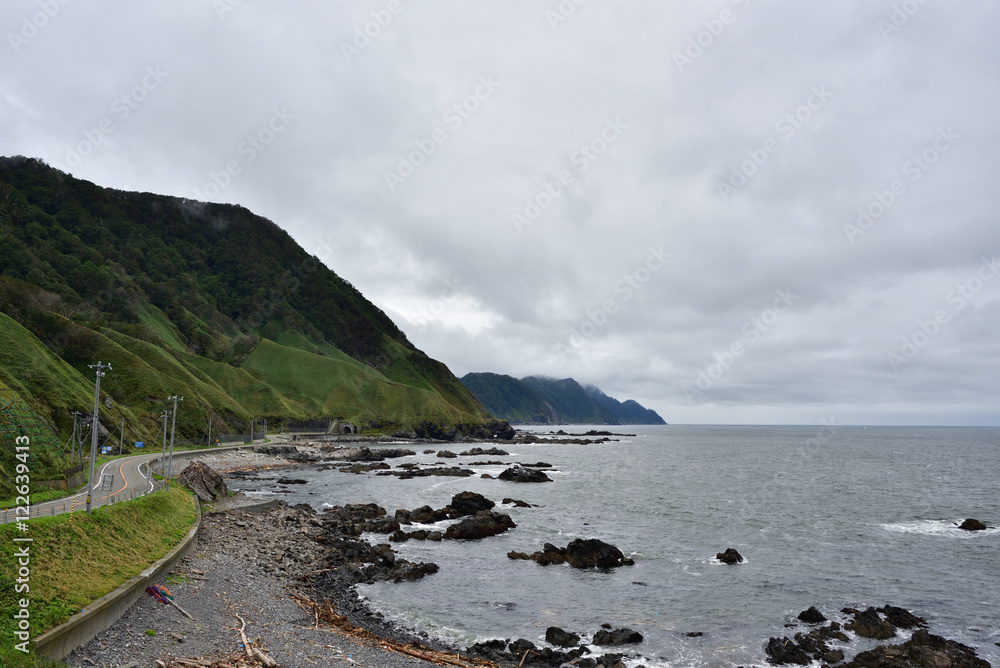 Obraz premium 黄金道路(国道336号)