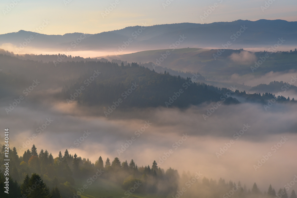 Beautiful fog on the Pieniny mountain hill