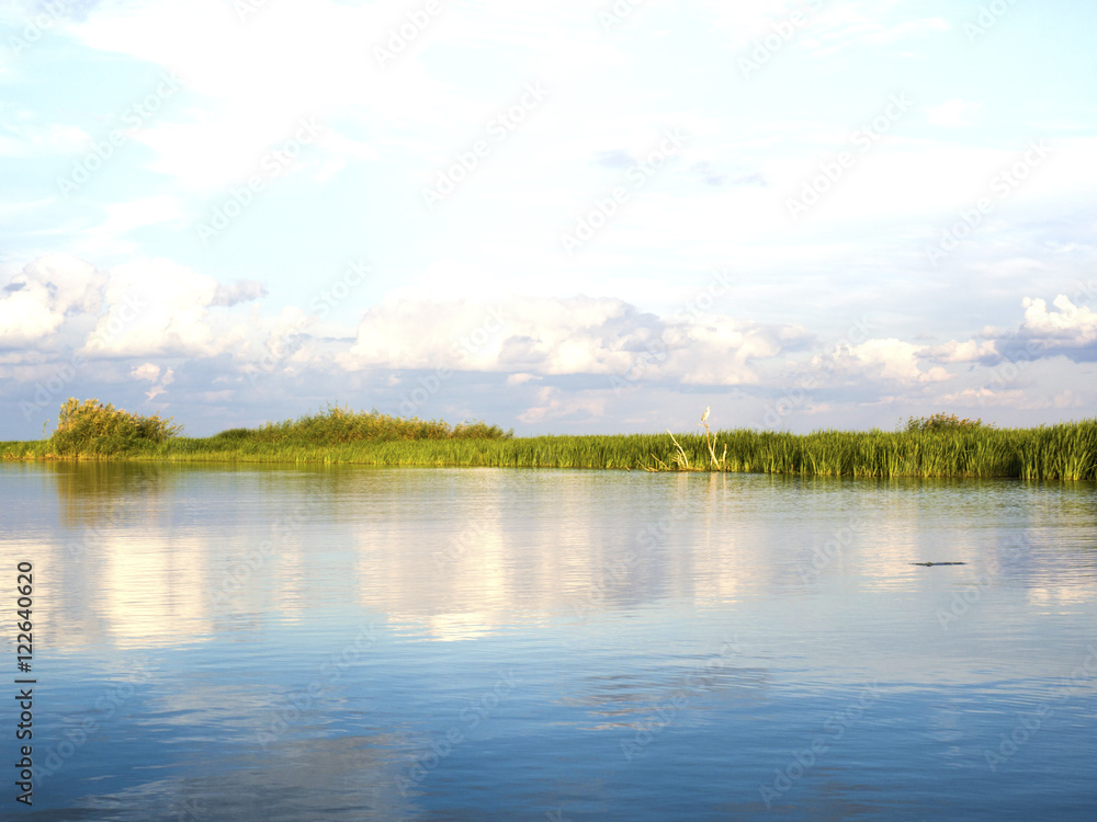 River with reed reflected in the water, Danube Delta 
