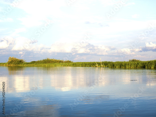 River with reed reflected in the water, Danube Delta 