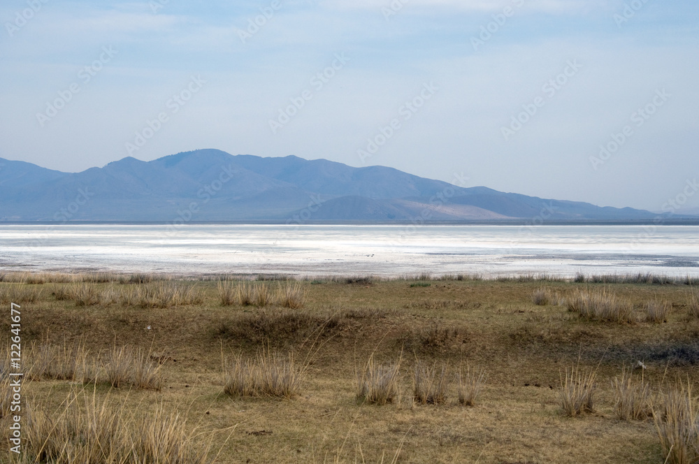 surface of the salt lake, salt marsh. north of Mongolia. surface of the salt lake, salt marsh. north of Mongolia.