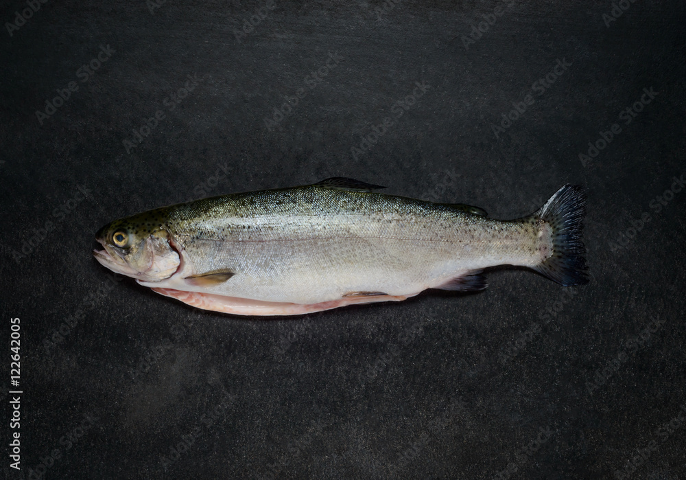 Fresh Trout Fish on Dark Background Fresh Trout Fish on Dark Background