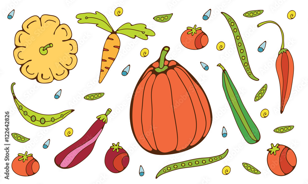 Fototapeta premium Colorful hand drawn vegetables set