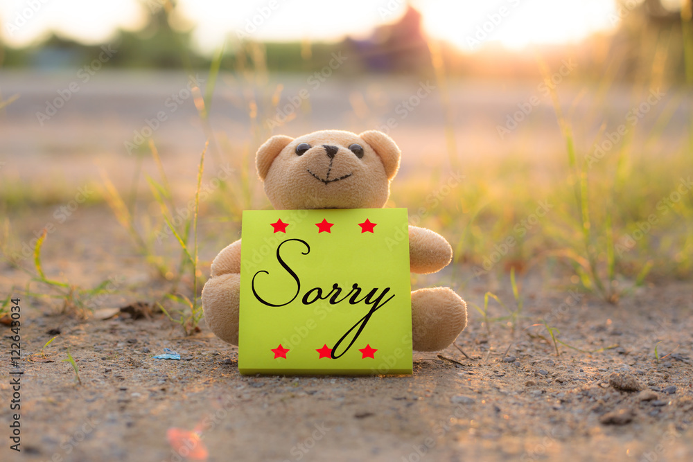 Sorry sales with teddy