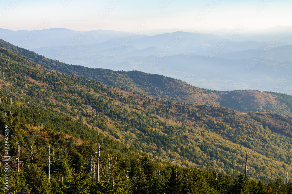 Obraz premium Mount Mitchell State Park