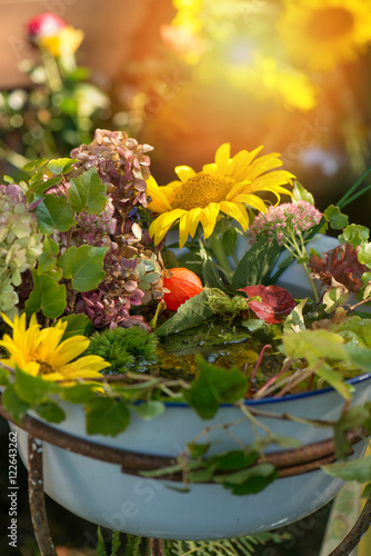 Herbstblüten photo