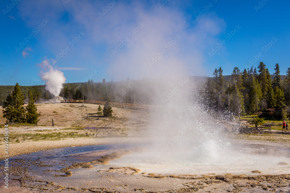 Fototapeta premium Erupting geyser with steam. Amazing landscape of the park. Upper Geyser Basin, Yellowstone National Park, Wyoming