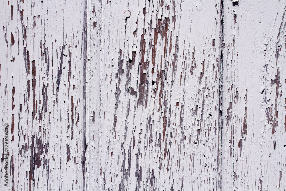 texture texture