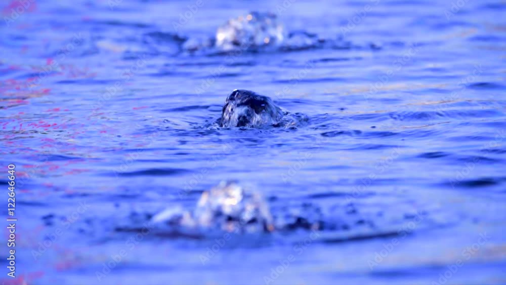 Heil Wasser Quellen im blauen Licht Heil Wasser Quellen im blauen Licht