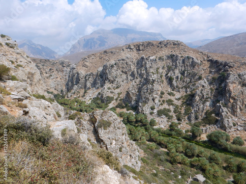 Palms of Preveli, Crete, Greece